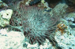 20010616_Umm_Gamar_0042